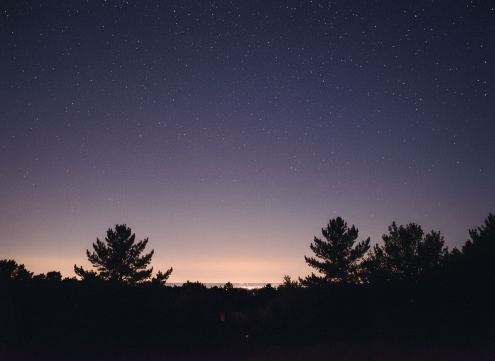 A clear night sky full of stars above a dark treeline